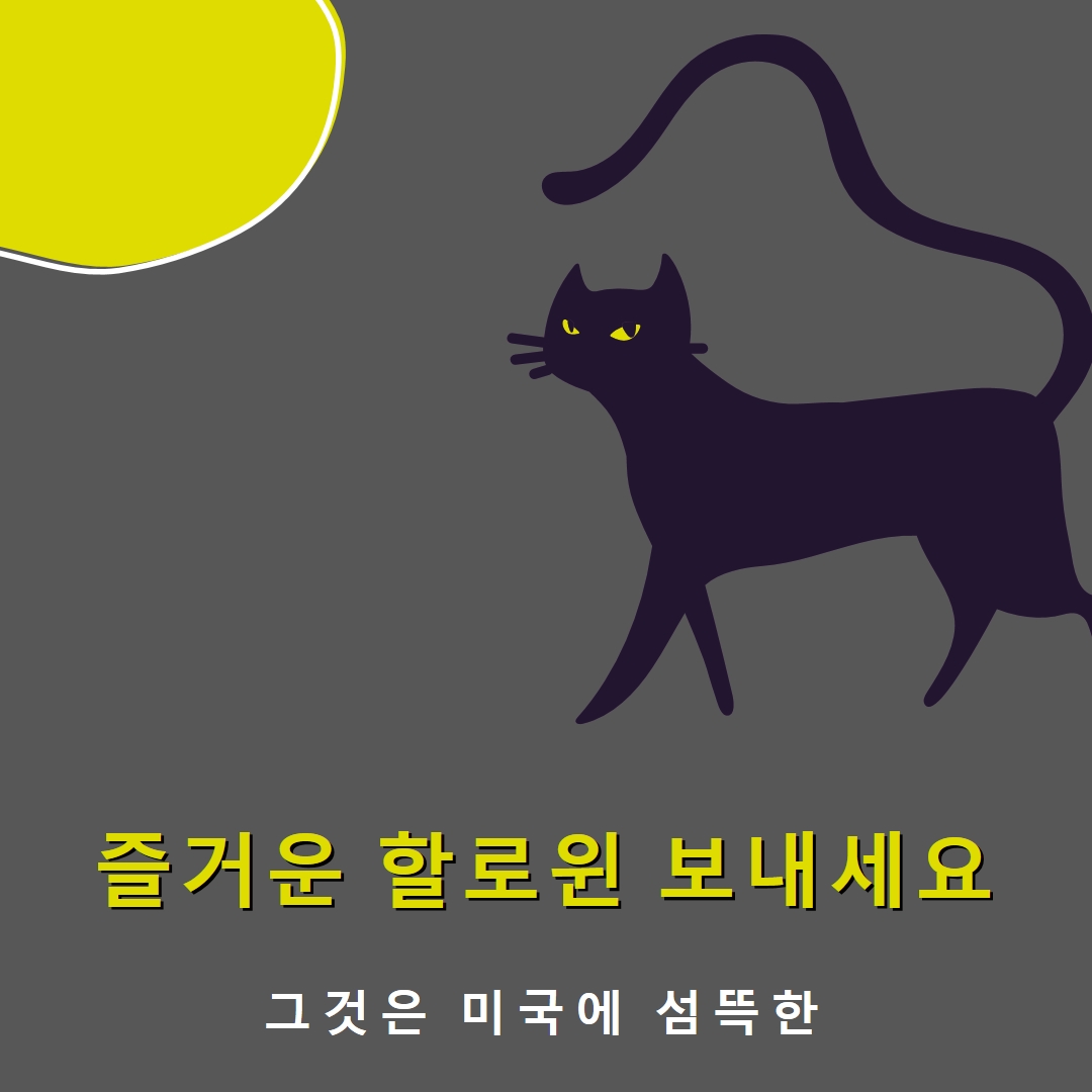 소름 고양이 black whimsical-color-block