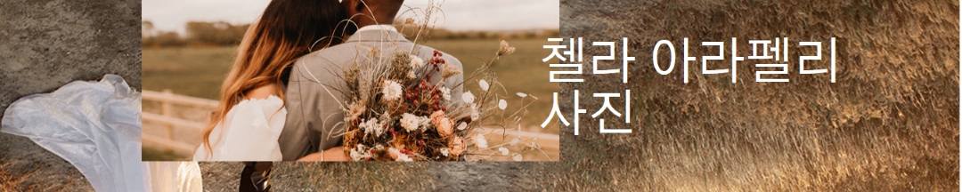 보헤미안 사진 브랜딩 배너 brown simple,soft,romantic