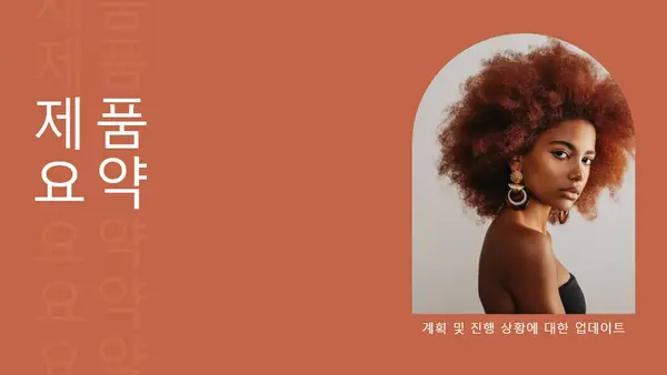 제품 요약 프레젠테이션 modern simple