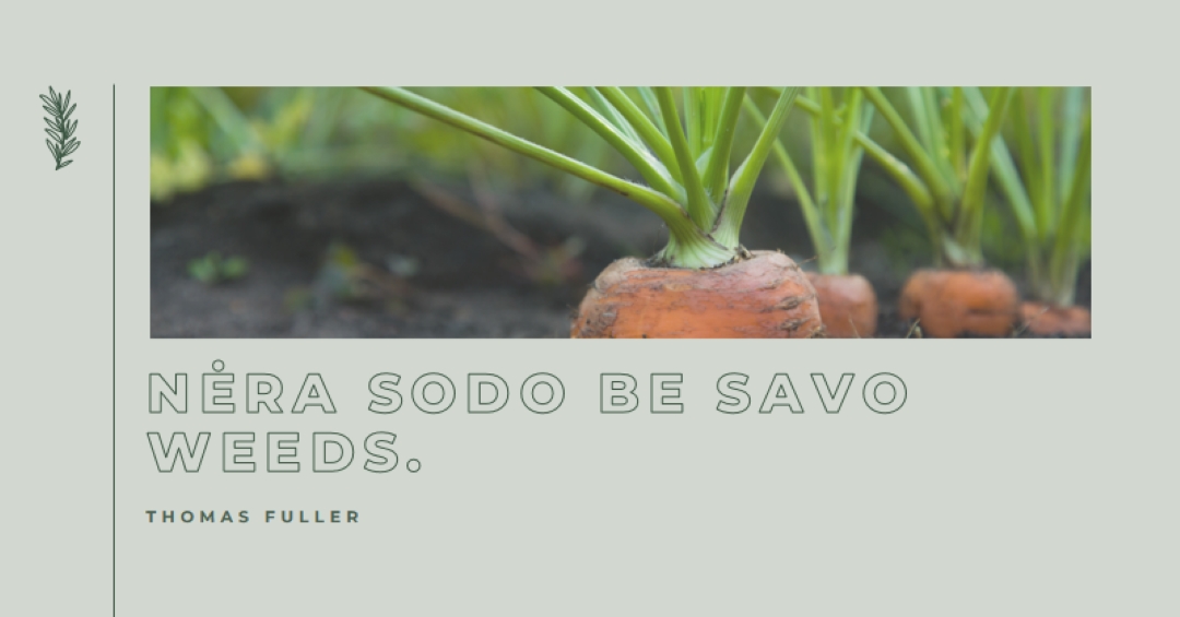 Gilios šaknys green modern-simple