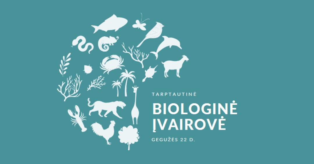 Švęsti pasaulio biologinės įvairovės dieną blue modern-simple