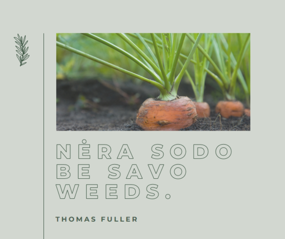 Gilios šaknys green modern-simple