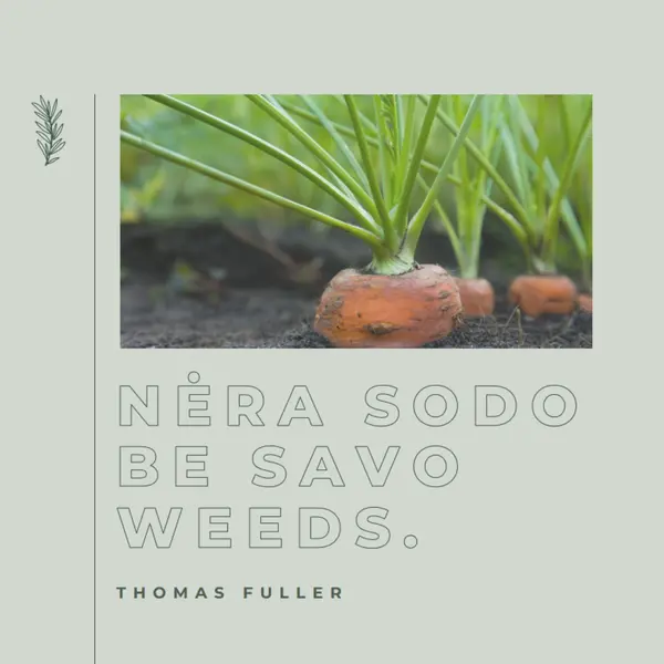 Gilios šaknys green modern-simple