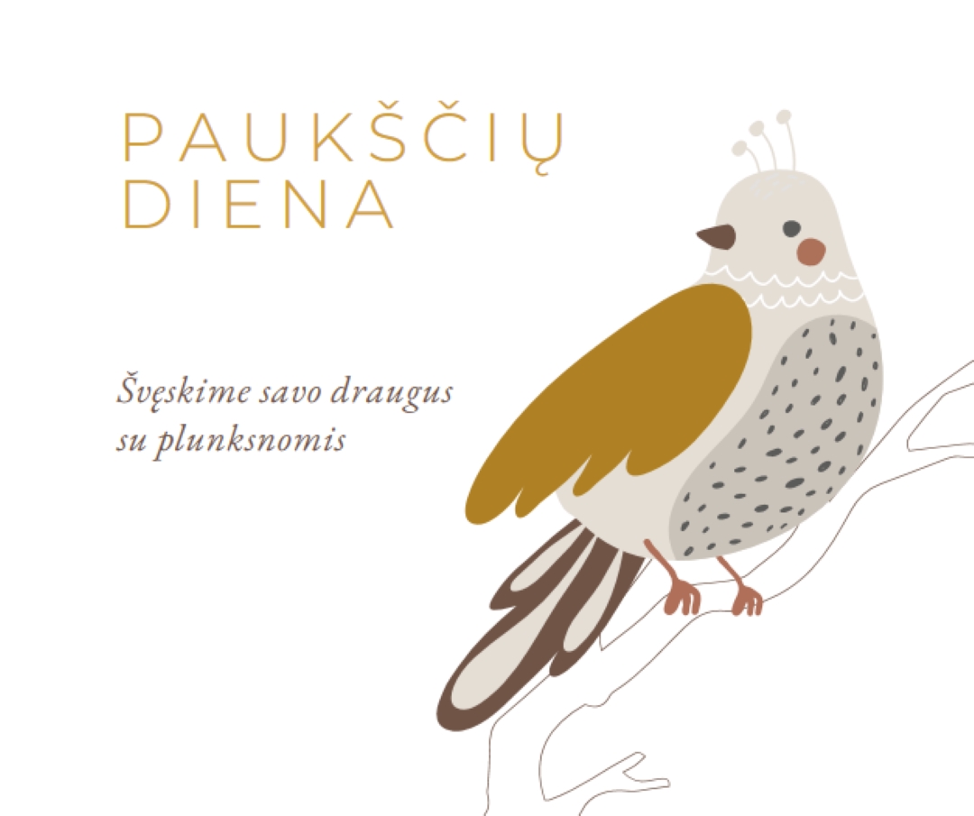 "Sky' s" riba white whimsical-line