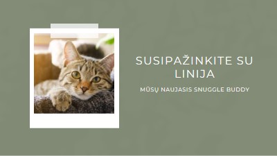 Susipažinkite su mūsų nauja kate green modern-simple