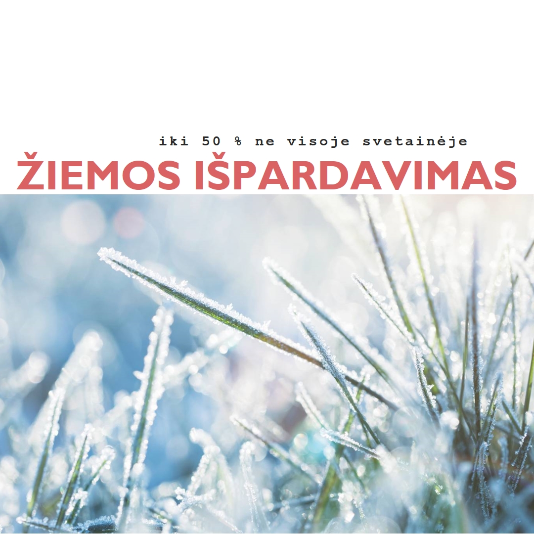 Žiemos rytas white modern-simple