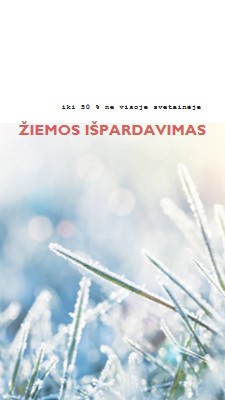 Žiemos rytas white modern-simple