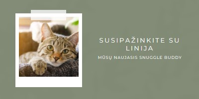 Susipažinkite su mūsų nauja kate green modern-simple