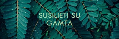 Susilieti su gamta green modern-simple