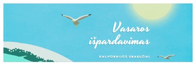 Pranešimas apie vasaros išpardavimo blue vintage-retro