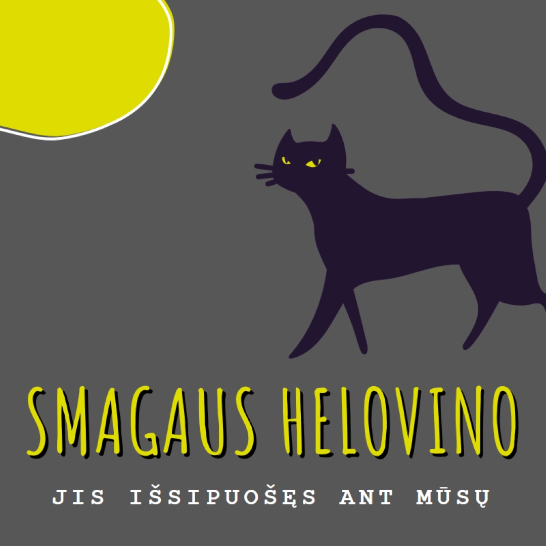 Šiurpus katė black whimsical-color-block