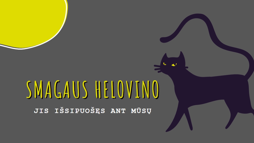 Šiurpus katė black whimsical-color-block