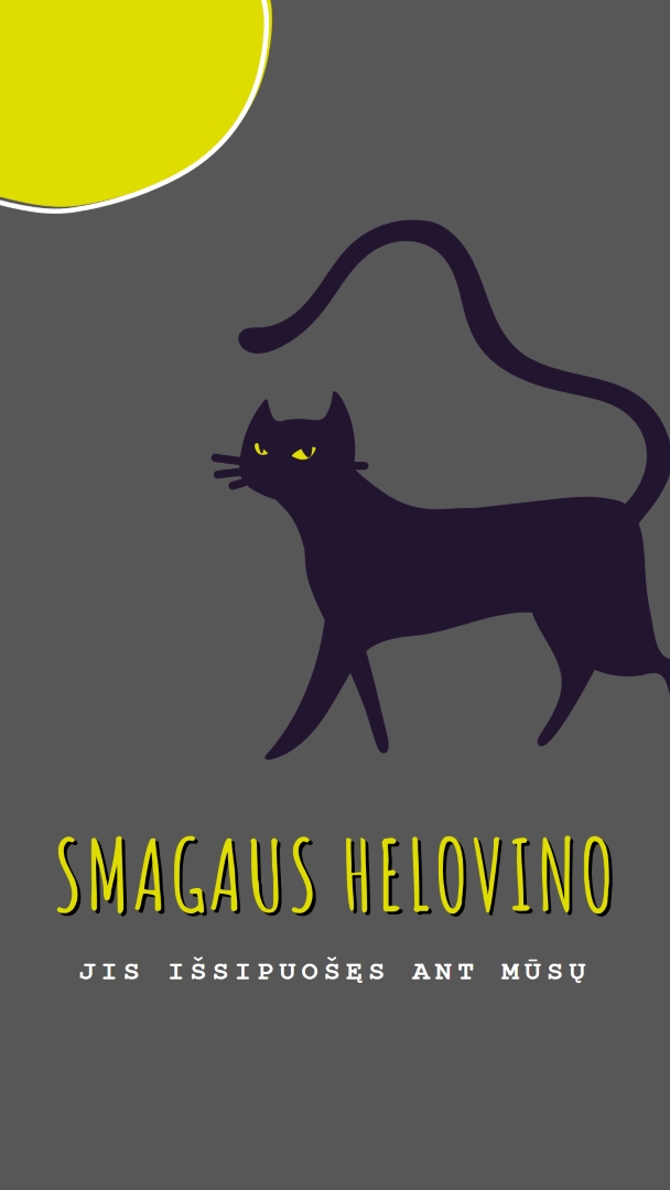 Šiurpus katė black whimsical-color-block