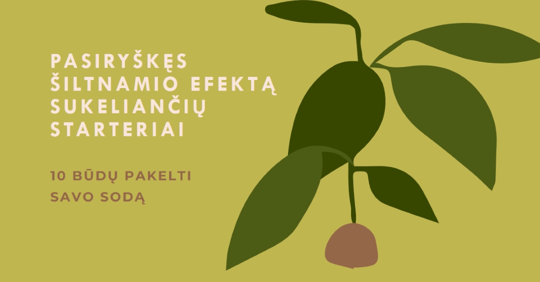 Pakelkite savo sodą green modern-color-block