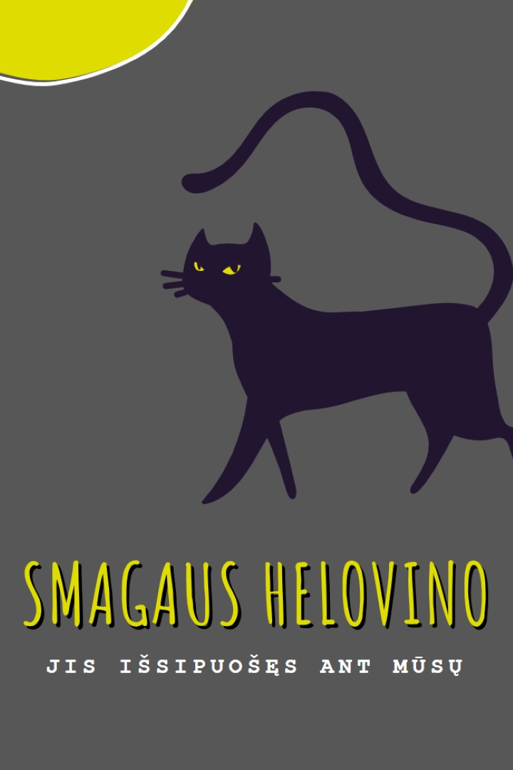 Šiurpus katė black whimsical-color-block