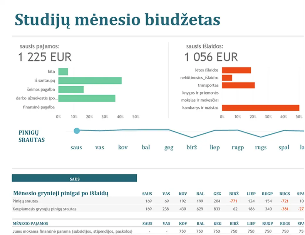Studijų mėnesio biudžetas modern-simple