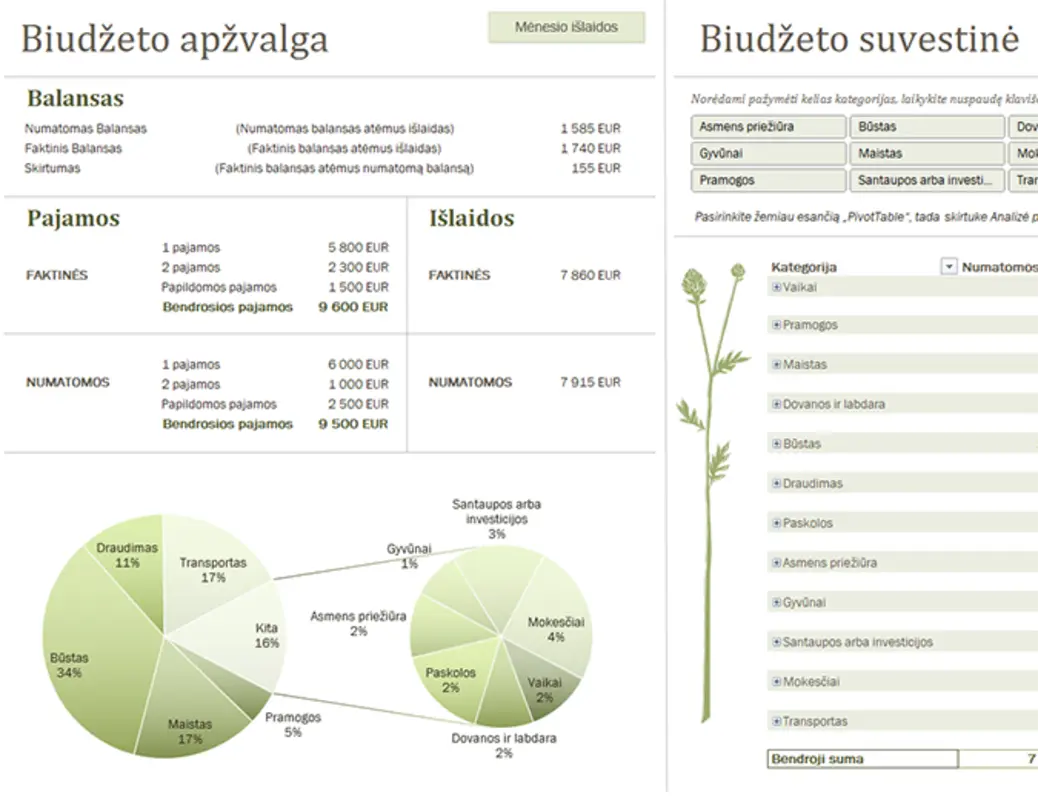 Šeimos biudžetas (mėnesio) blue modern simple