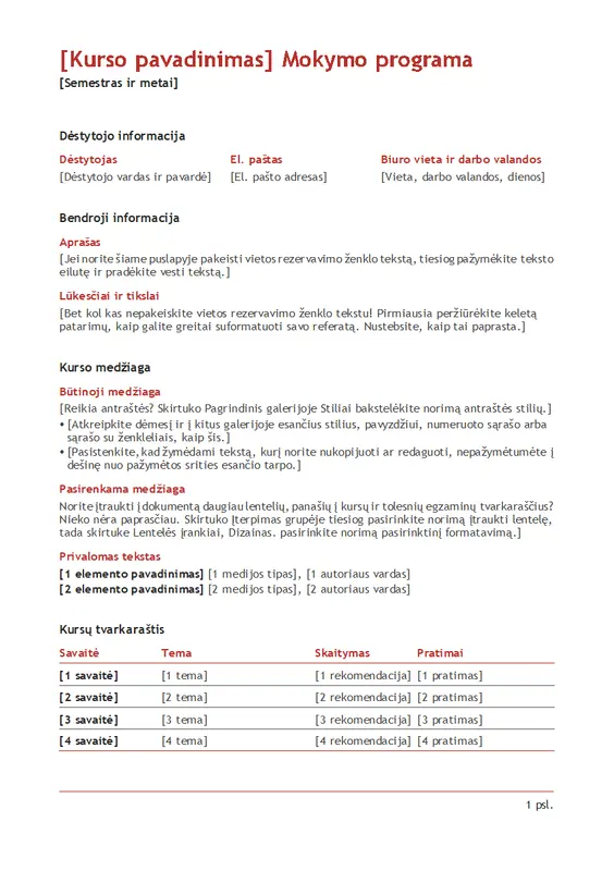 Mokytojo mokymo programa (spalvota) modern simple