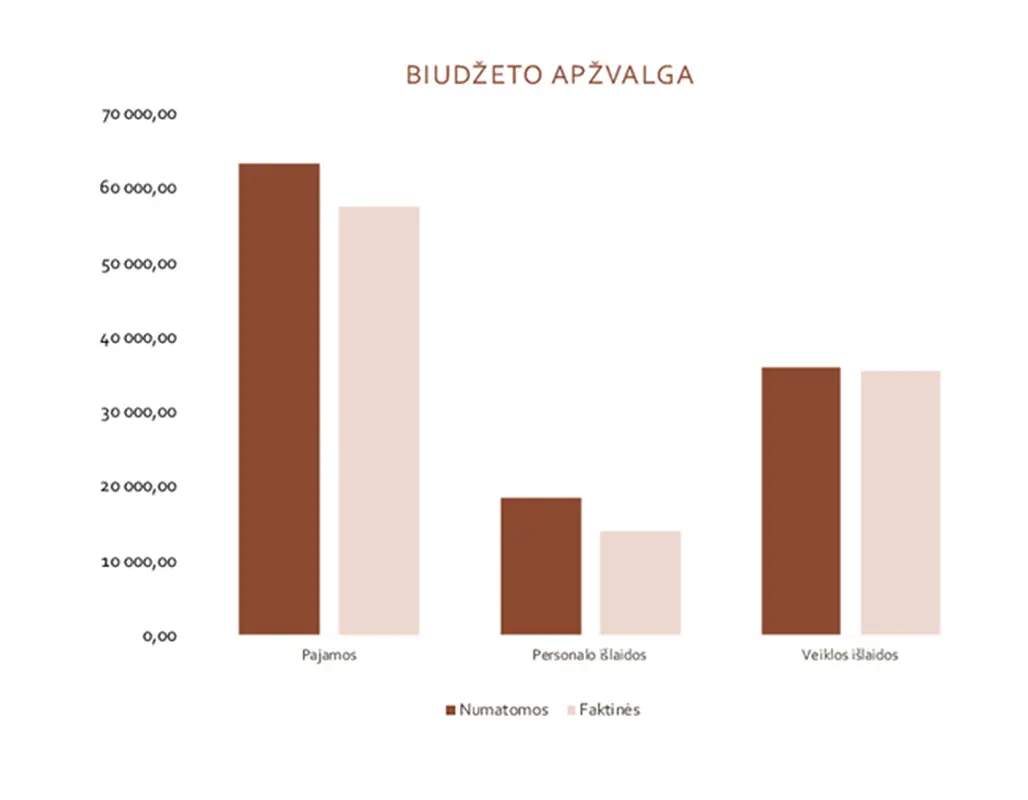 Verslo biudžetas modern simple