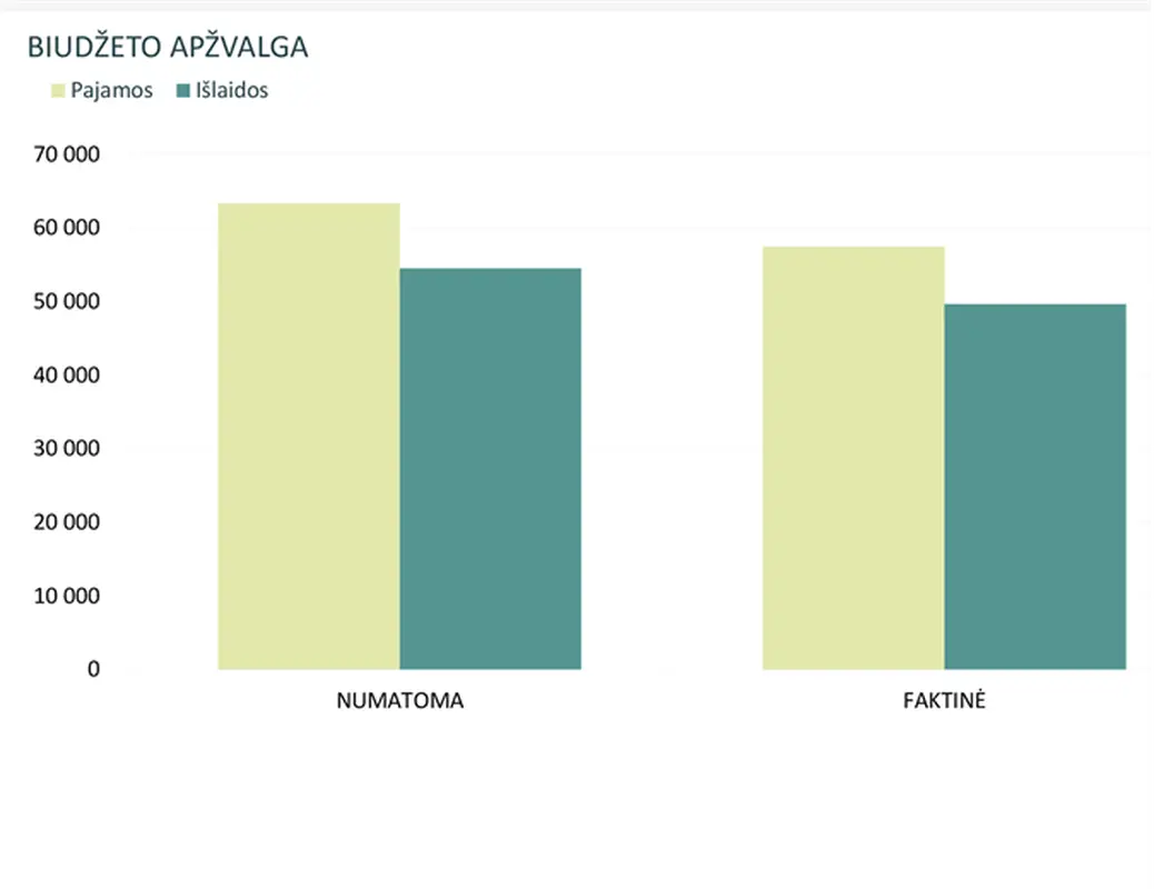 Įmonės mėnesio biudžetas modern-simple
