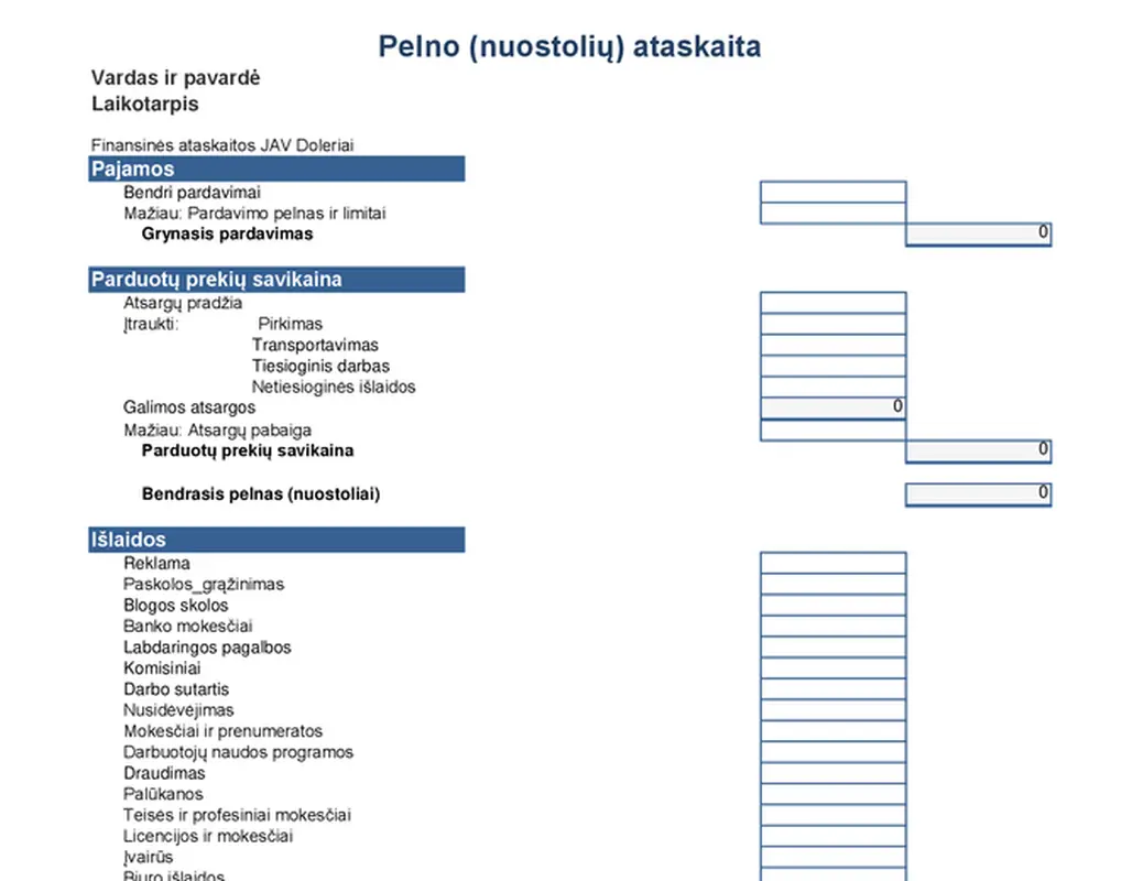 Pajamų ataskaita, 1 metų