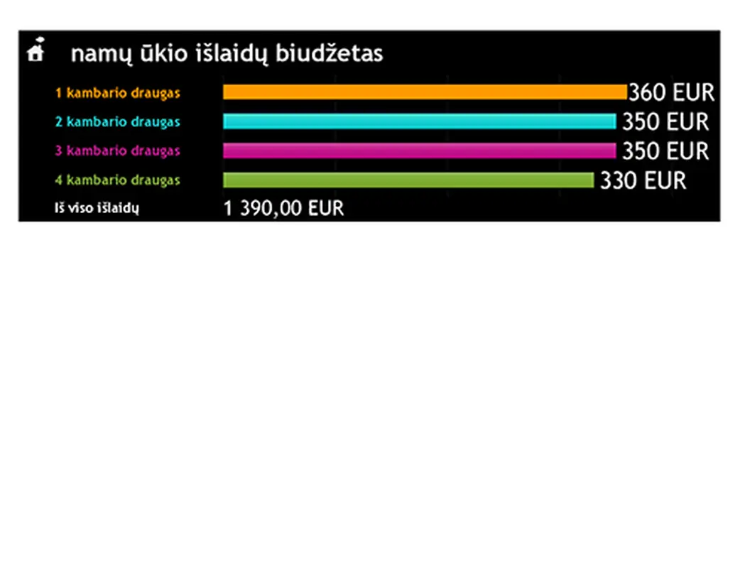 Namų ūkio išlaidų biudžetas modern simple