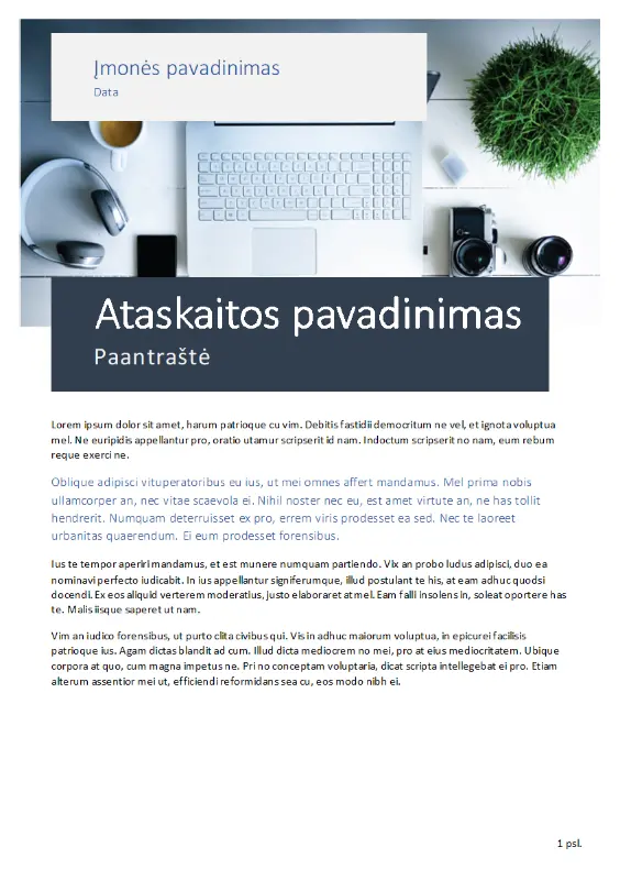 Ataskaita (kilmės tema) gray modern simple