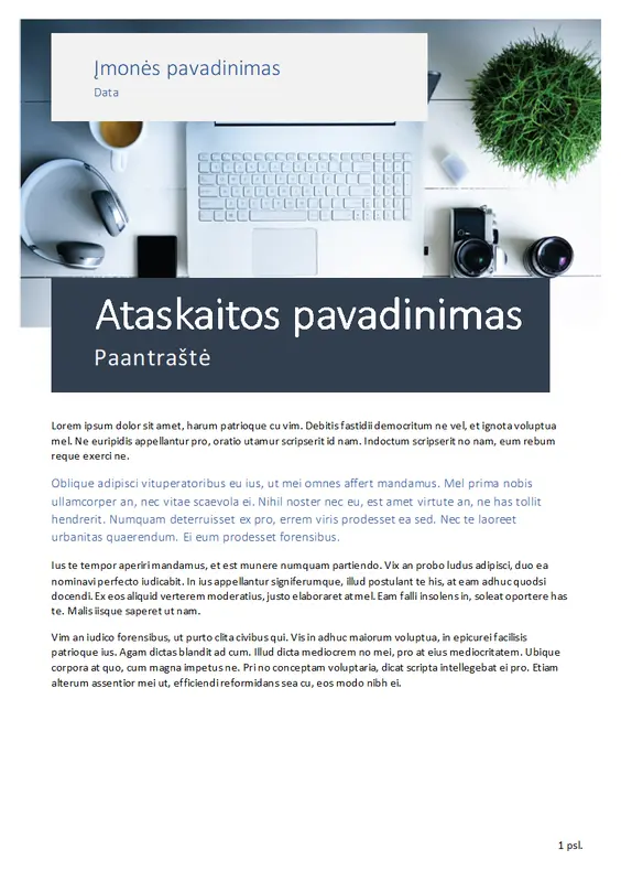 Ataskaita (kilmės tema) modern simple