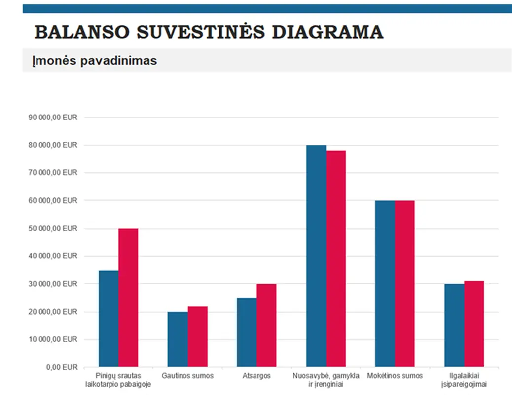 Biudžeto suvestinės ataskaita