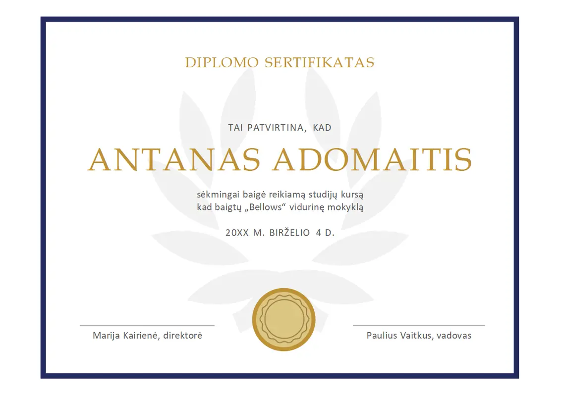 Diplomo sertifikatas modern simple