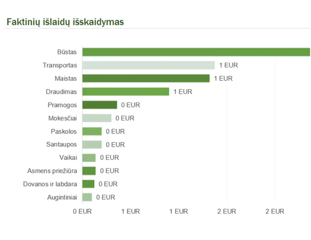 Namų ūkio mėnesio biudžetas