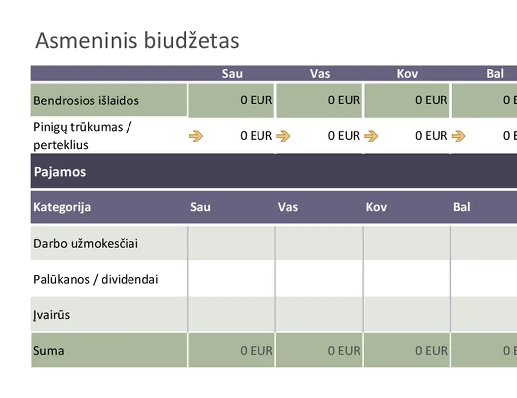 Bazinis asmeninis biudžetas