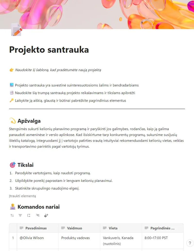 Projekto santrauka