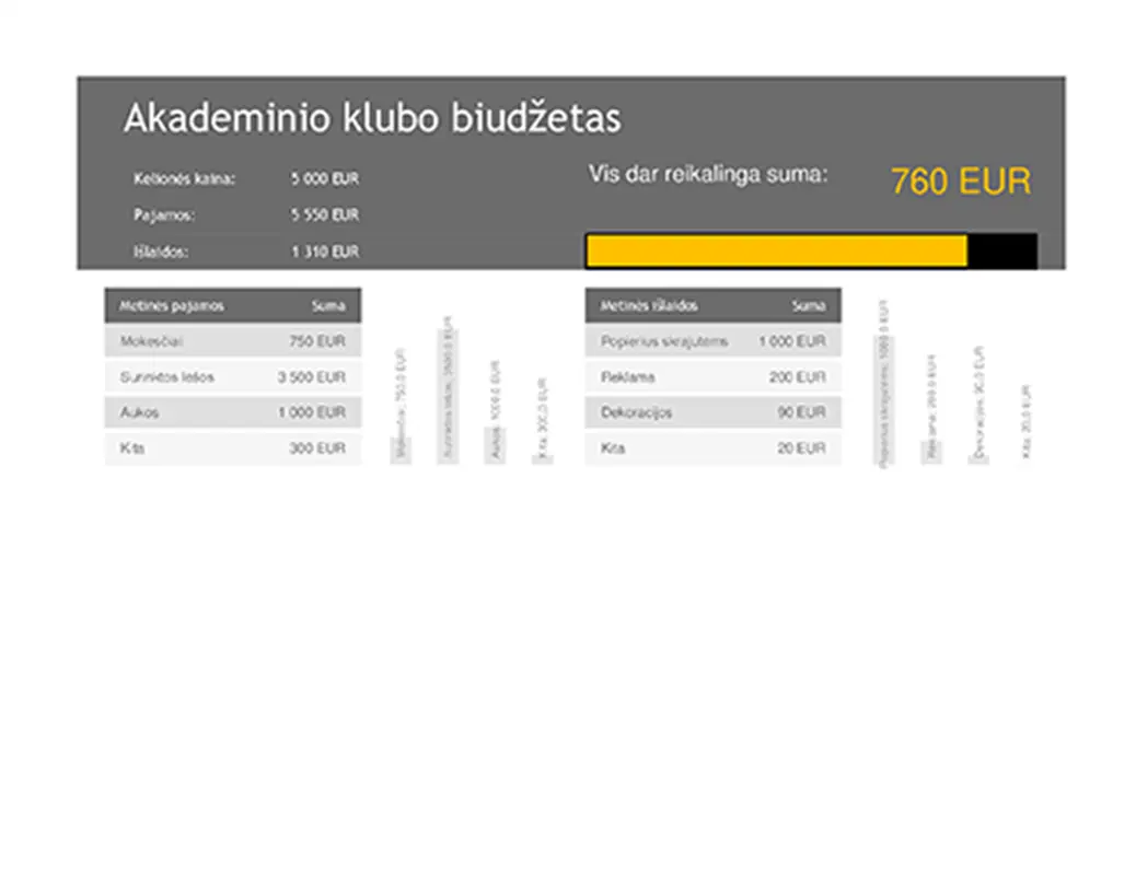 Akademinio klubo biudžetas modern simple