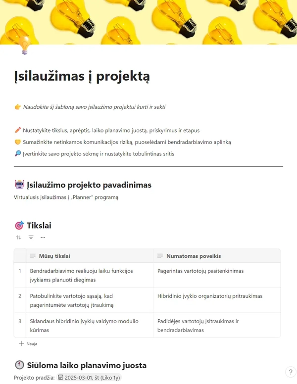 Įsilaužimo projektas