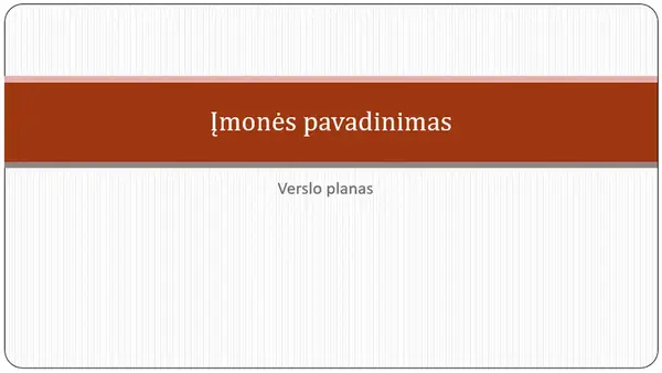 Verslo plano pateiktis