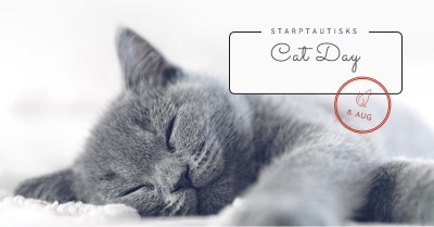 Cat nap gray modern-simple