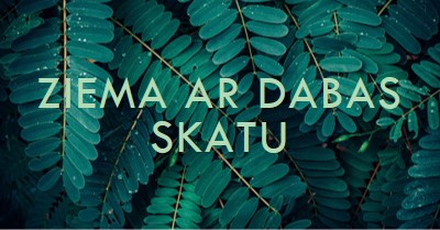 Ziema ar dabas skatu green modern-simple