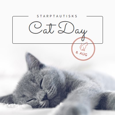 Cat nap gray modern-simple