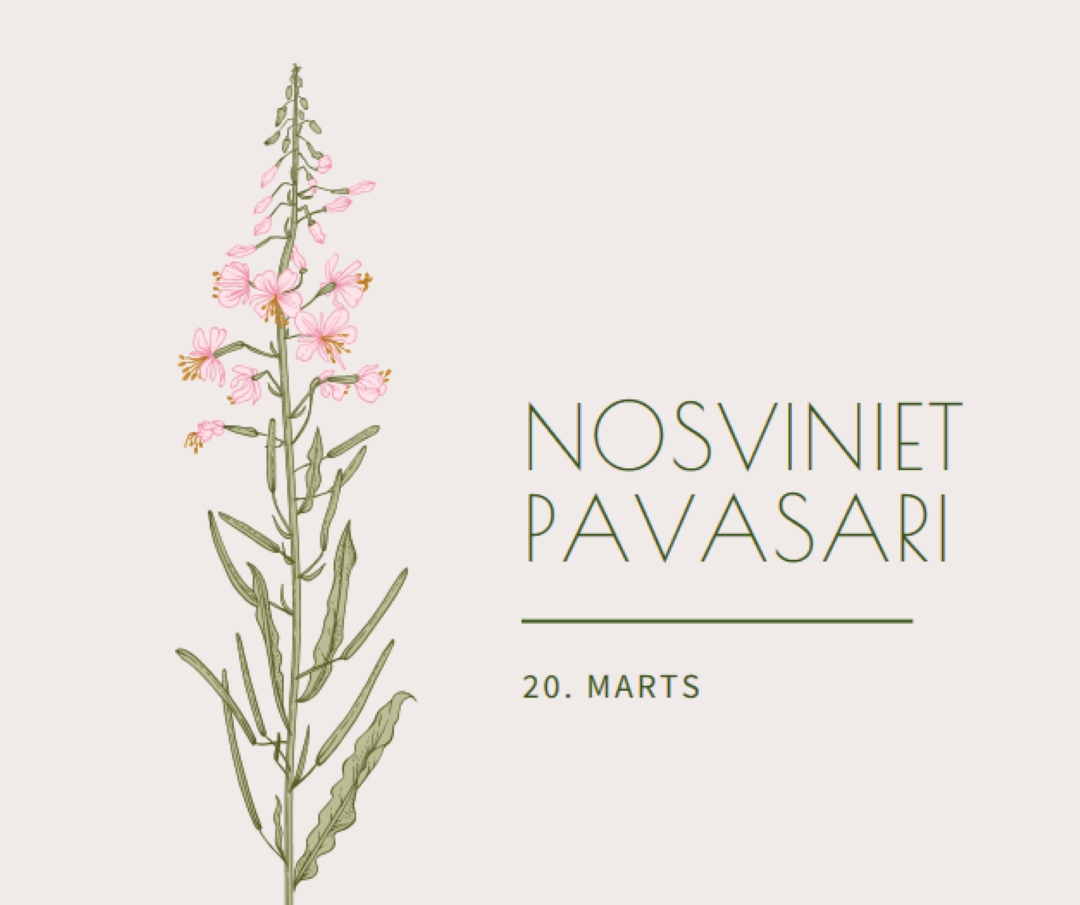 Nosviniet pavasari white vintage-botanical