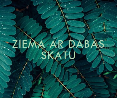 Ziema ar dabas skatu green modern-simple