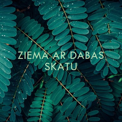 Ziema ar dabas skatu green modern-simple