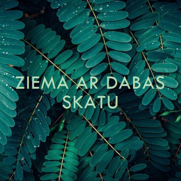 Ziema ar dabas skatu green modern-simple