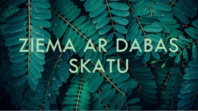 Ziema ar dabas skatu green modern-simple