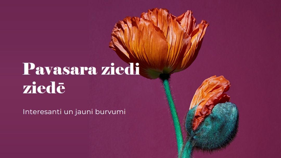 Fresh flowers purple modern-simple