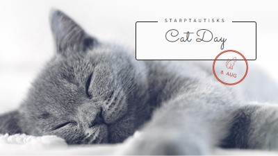 Cat nap gray modern-simple