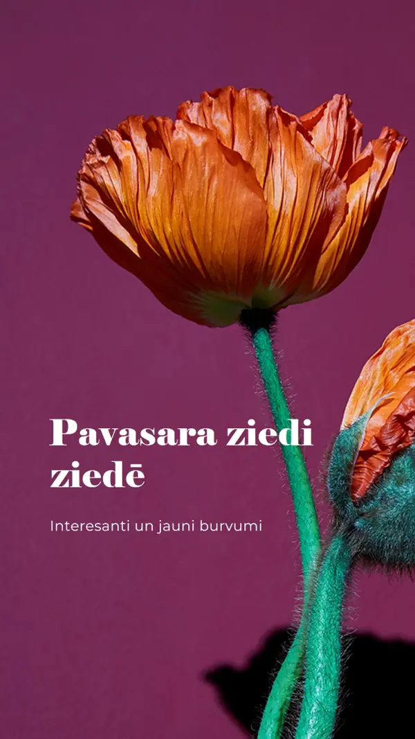 Fresh flowers purple modern-simple