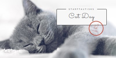 Cat nap gray modern-simple