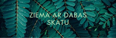 Ziema ar dabas skatu green modern-simple