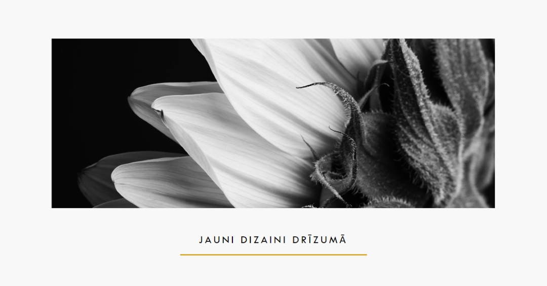 Izteiksmīgās ziedlapiņas white modern-simple